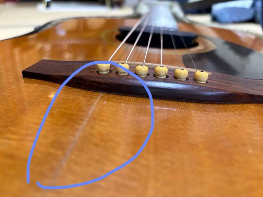 Seagull SM6Spruce カナダ製 fishman pu&ハードケース