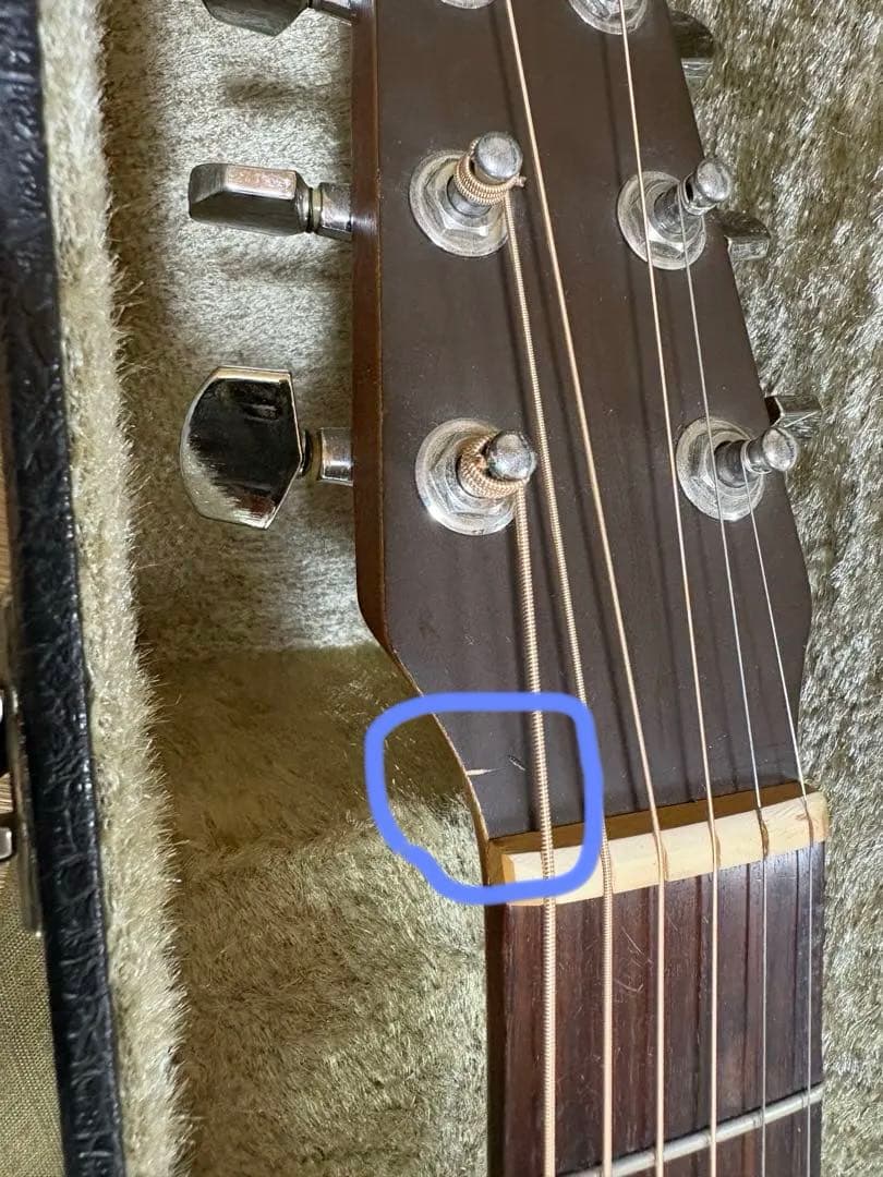 Seagull SM6Spruce カナダ製 fishman pu&ハードケース