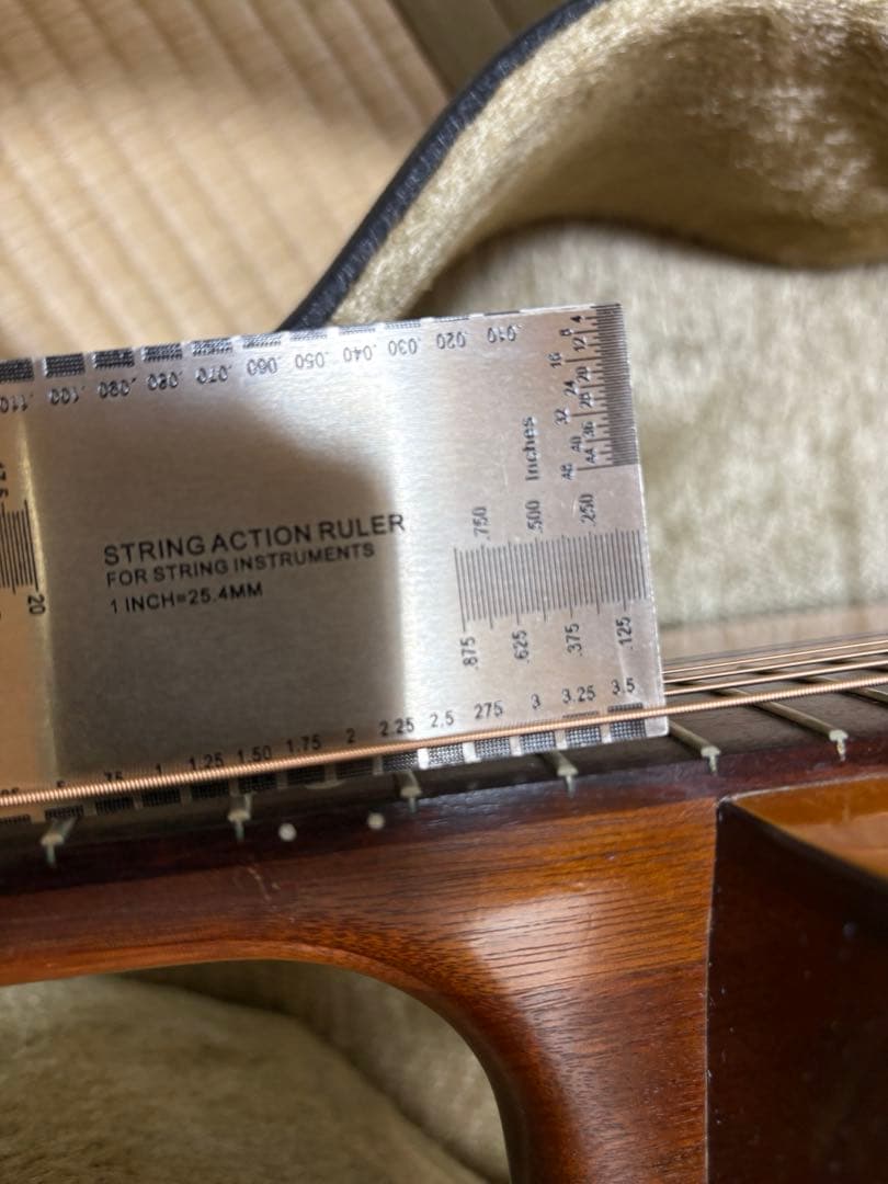 Seagull SM6Spruce カナダ製 fishman pu&ハードケース