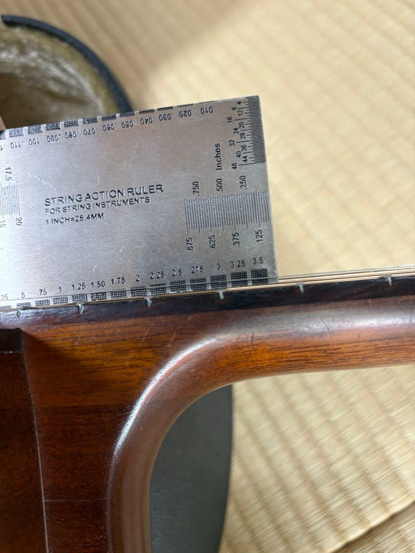 Seagull SM6Spruce カナダ製 fishman pu&ハードケース