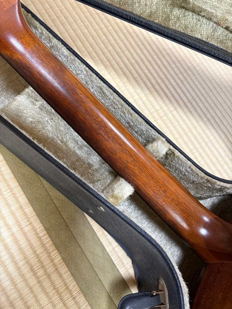 Seagull SM6Spruce カナダ製 fishman pu&ハードケース