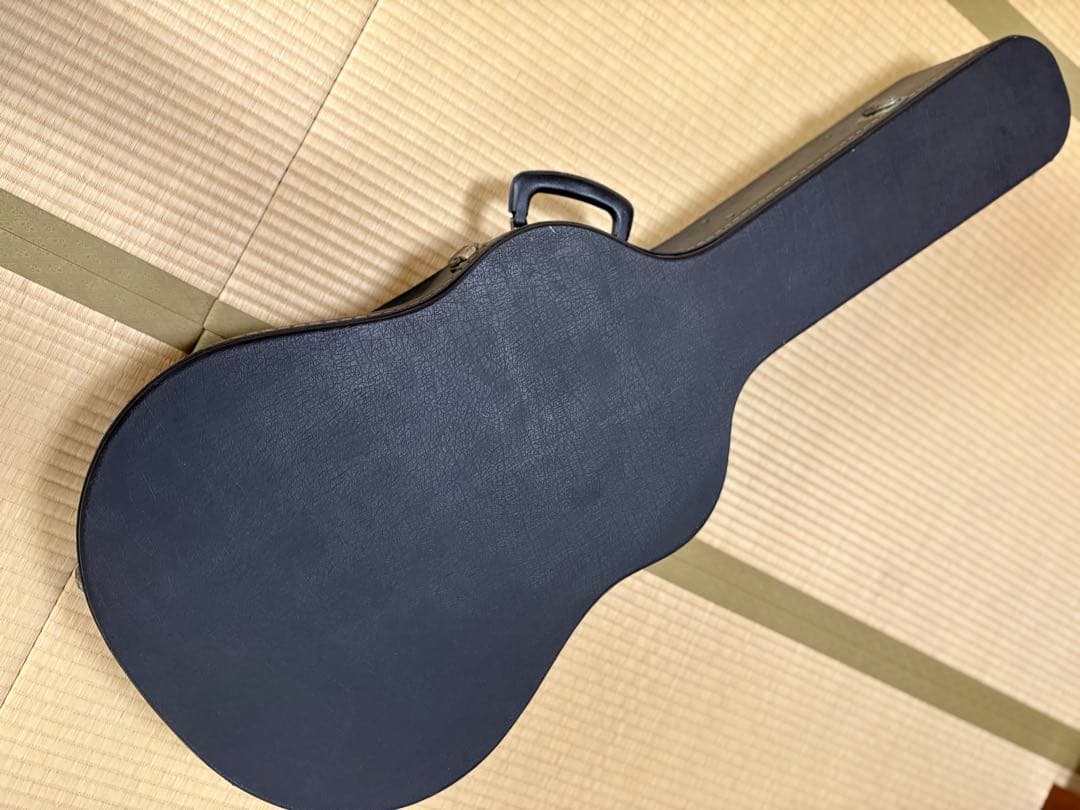 Seagull SM6Spruce カナダ製 fishman pu&ハードケース