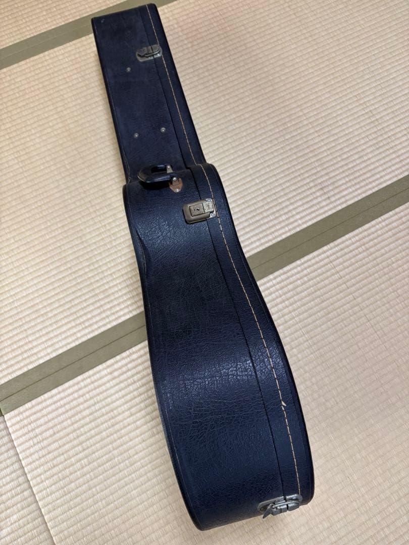 Seagull SM6Spruce カナダ製 fishman pu&ハードケース