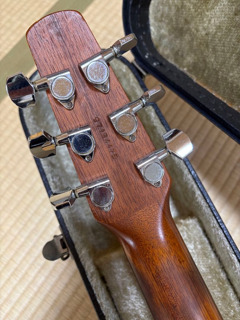 Seagull SM6Spruce カナダ製 fishman pu&ハードケース