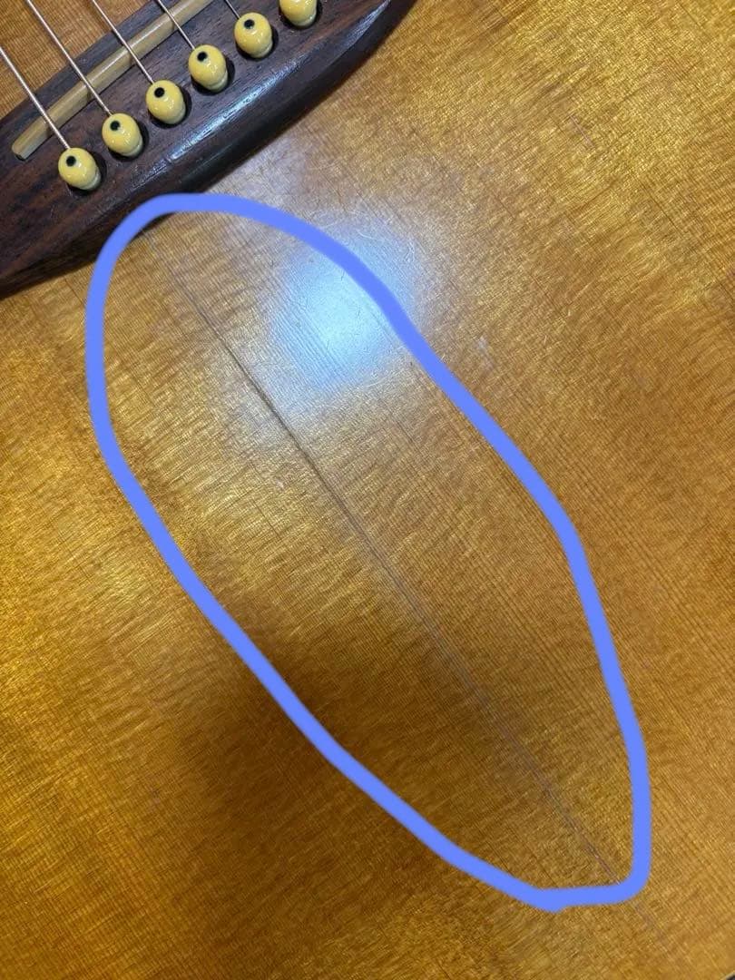 Seagull SM6Spruce カナダ製 fishman pu&ハードケース