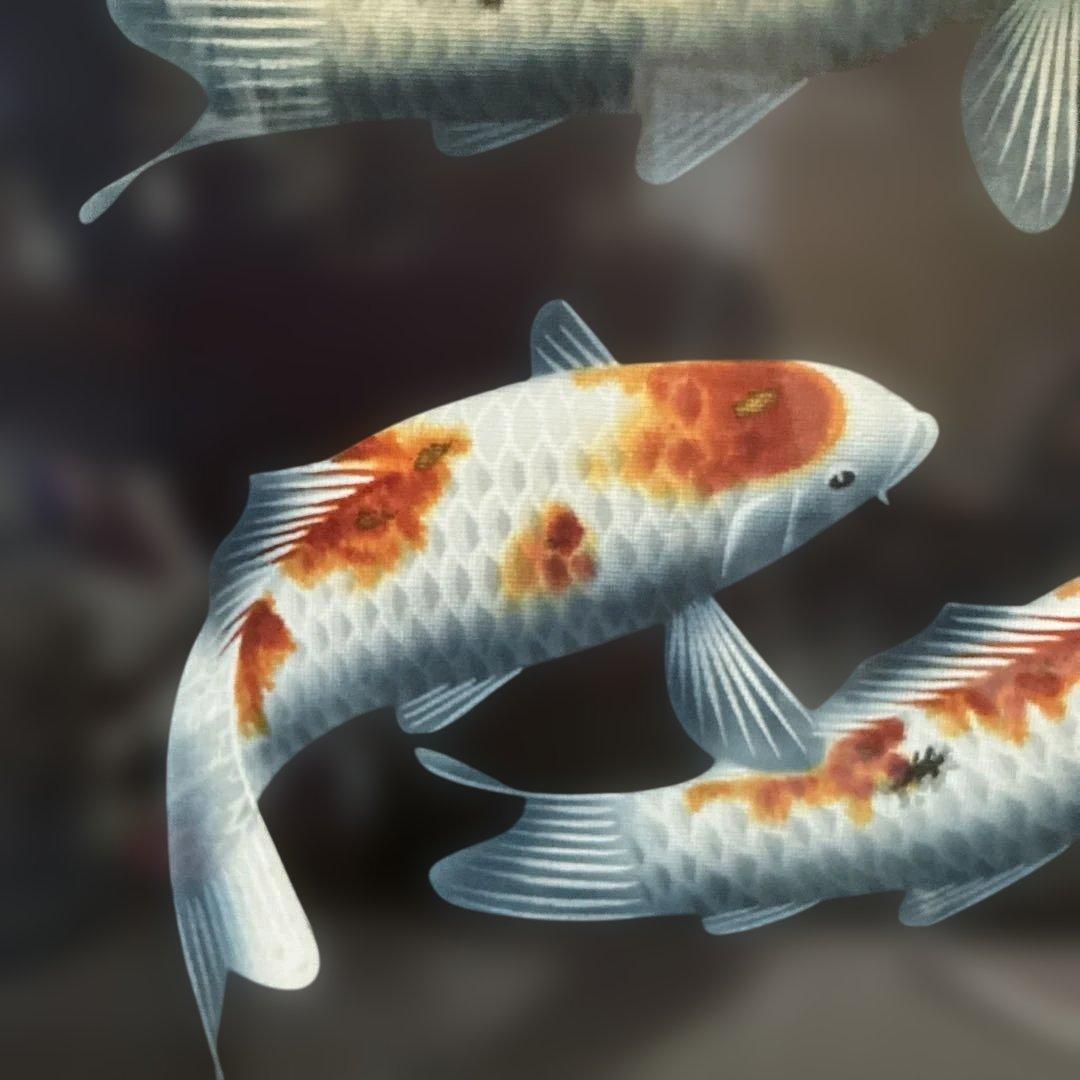 作者　海野春峰（うんのしゅんぽう）　「錦鯉」　美術名鑑評価　（最高傑作十号）