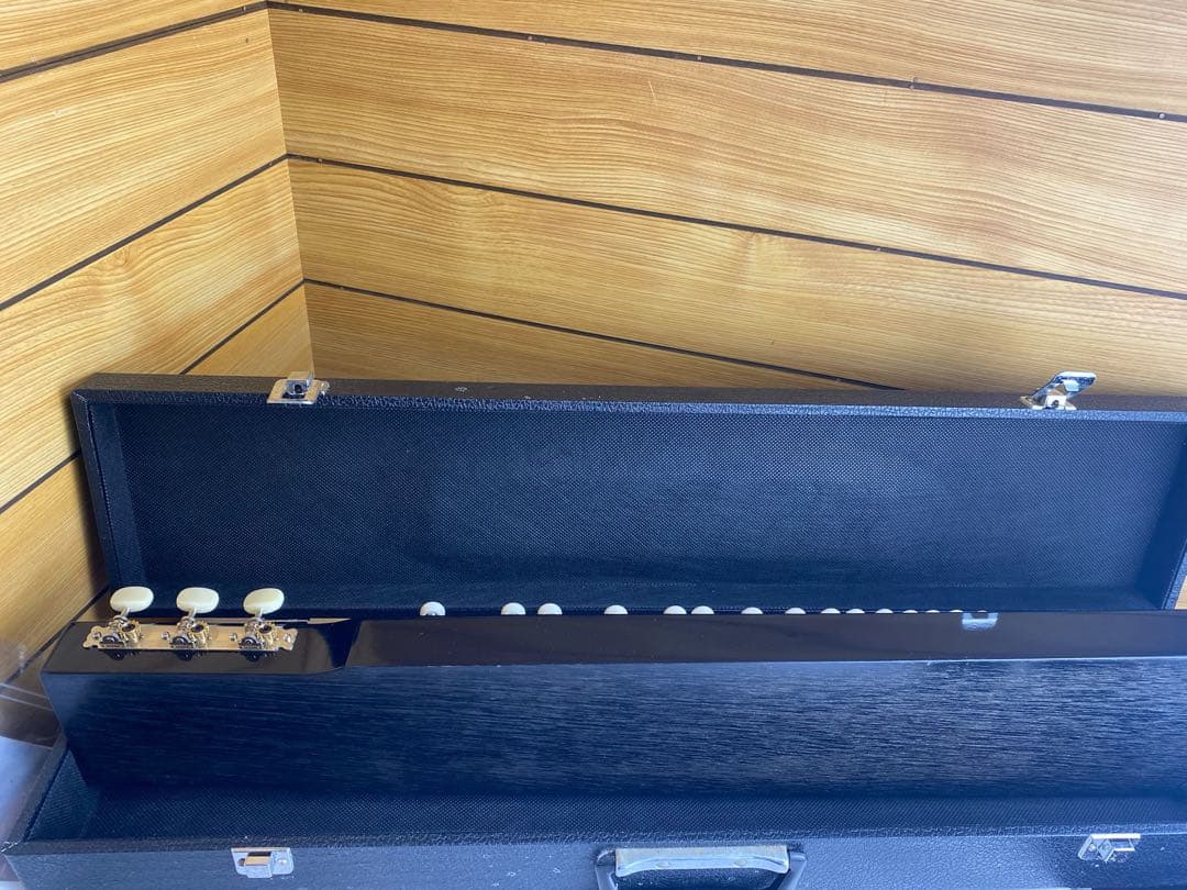 美品！　 大正琴　 弦楽器　 富士　松　ハードケース付