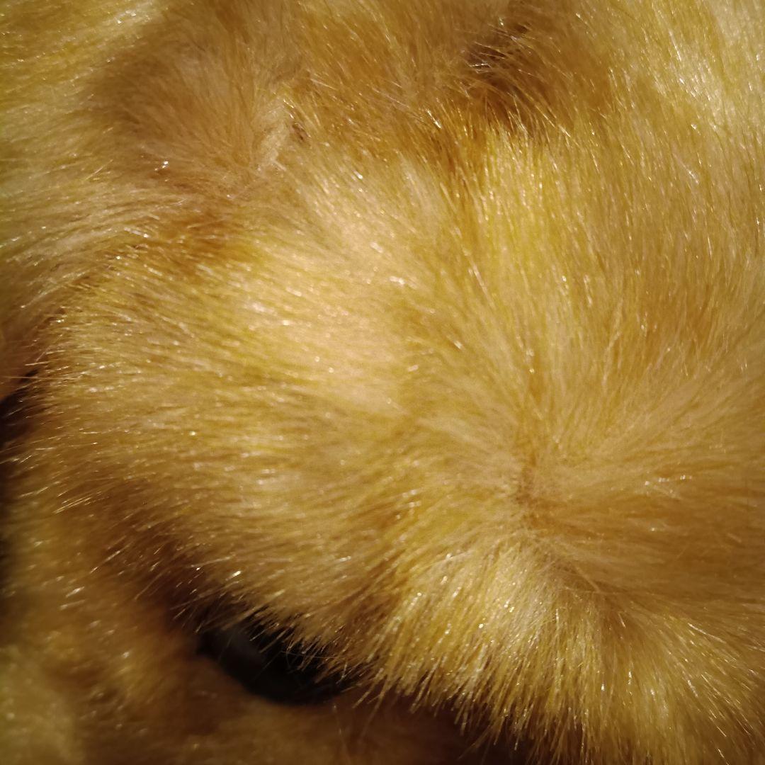 三英　ゴールデンレトリバー　レトロ　特大　1m以上　実物大