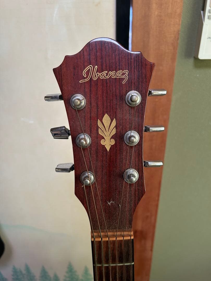 エレアコ Ibanez