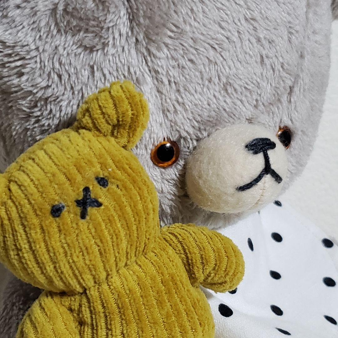 No.716 テディベア(L)BD2026.4.3 &リトルBちゃん