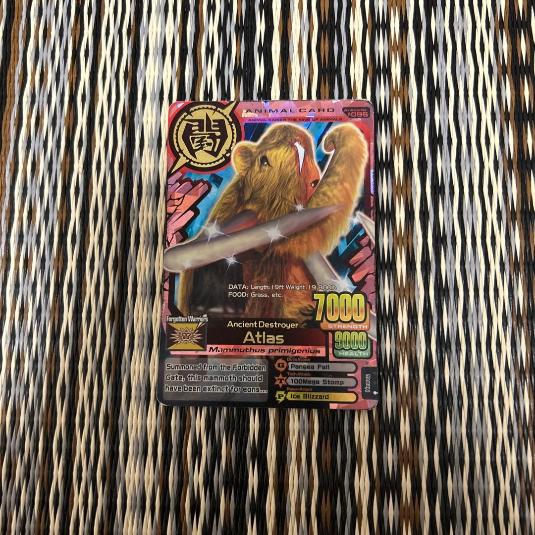 ア*！様 アニマルカイザー　英語版　まとめ売り　レア　Animal Kaiser