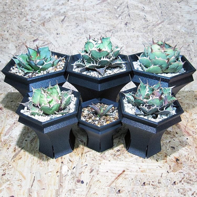 NITRO  HexaGrail Lサイズ プランター 3D鉢 アガベ