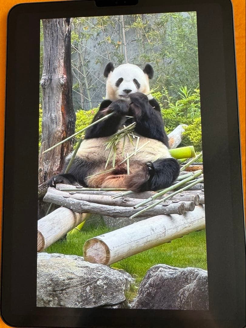 iPad Pro11 256G 第2世代 Apple Pencilラッキー様