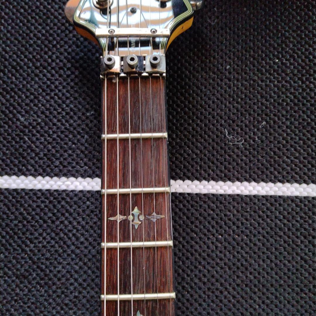 シェクター　ダイヤモンドシリーズ　ヘルレイザー　エレキギター