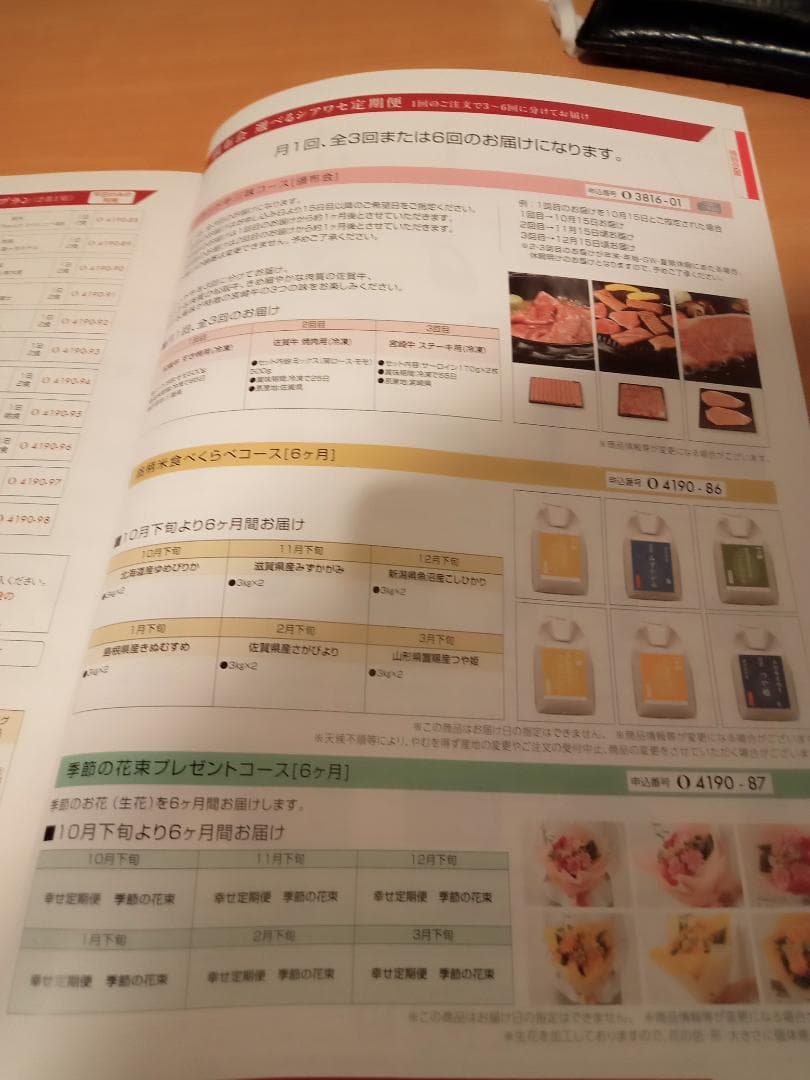 第11回全関東夏のファン感謝デー オリジナルカタログ　【送料込み】