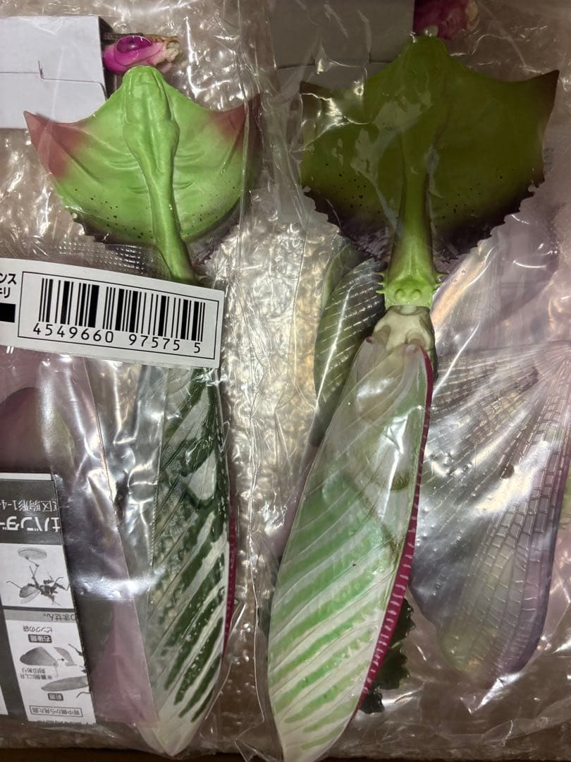 【新品】いきもの大図鑑アドバンス ニセハナマオウカマキリ オンライン版 セット