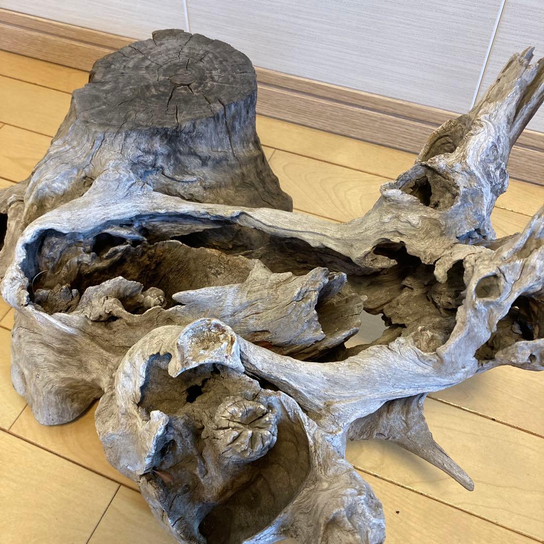 花台　木製花台　流木　古木　盆栽台　生花　天然木　多肉植物　寄植え　切り株　置物