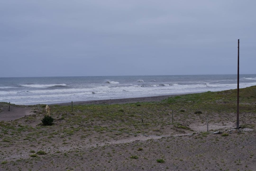 【美品】Nikon◆Ai NIKKOR 50mm F1.4◆単焦点レンズ◆ニコン