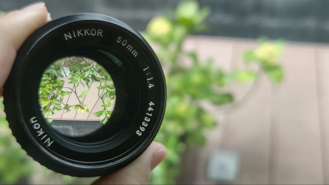 【美品】Nikon◆Ai NIKKOR 50mm F1.4◆単焦点レンズ◆ニコン