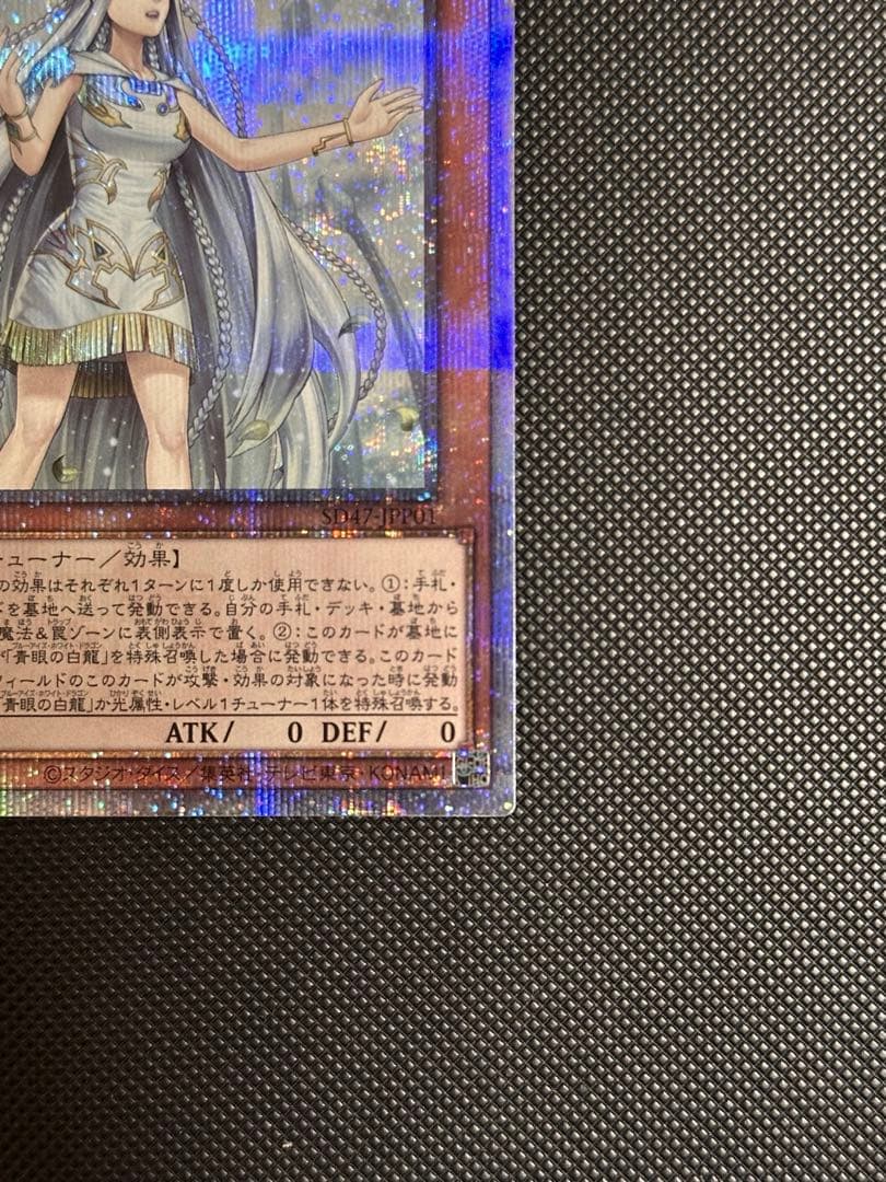 白き乙女　25th