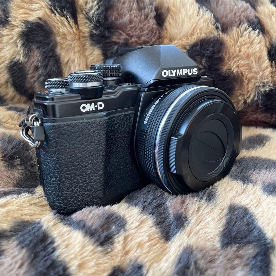 【ジャンク】OLYMPUS OM-D E-M10Ⅱ