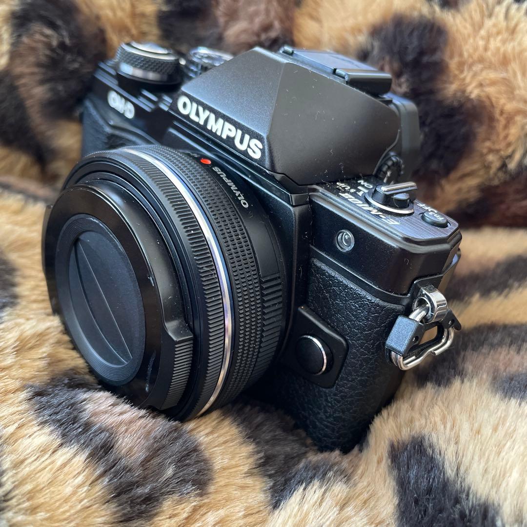 【ジャンク】OLYMPUS OM-D E-M10Ⅱ