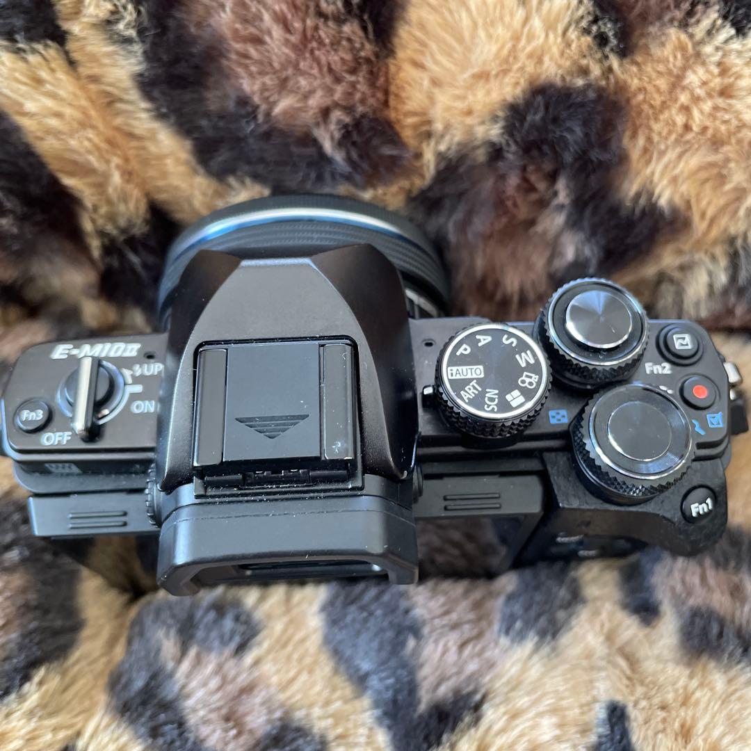 【ジャンク】OLYMPUS OM-D E-M10Ⅱ