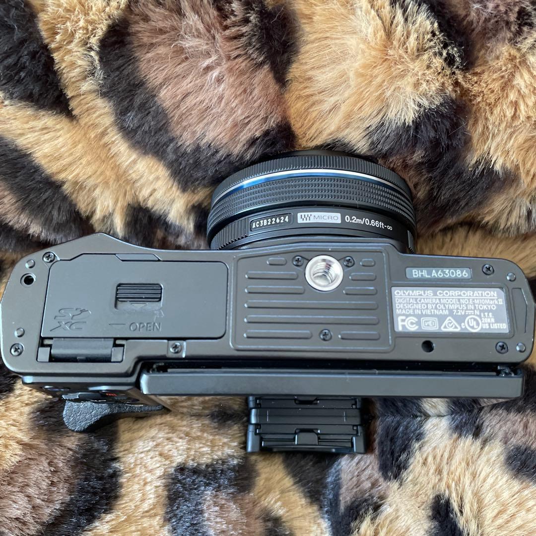 【ジャンク】OLYMPUS OM-D E-M10Ⅱ
