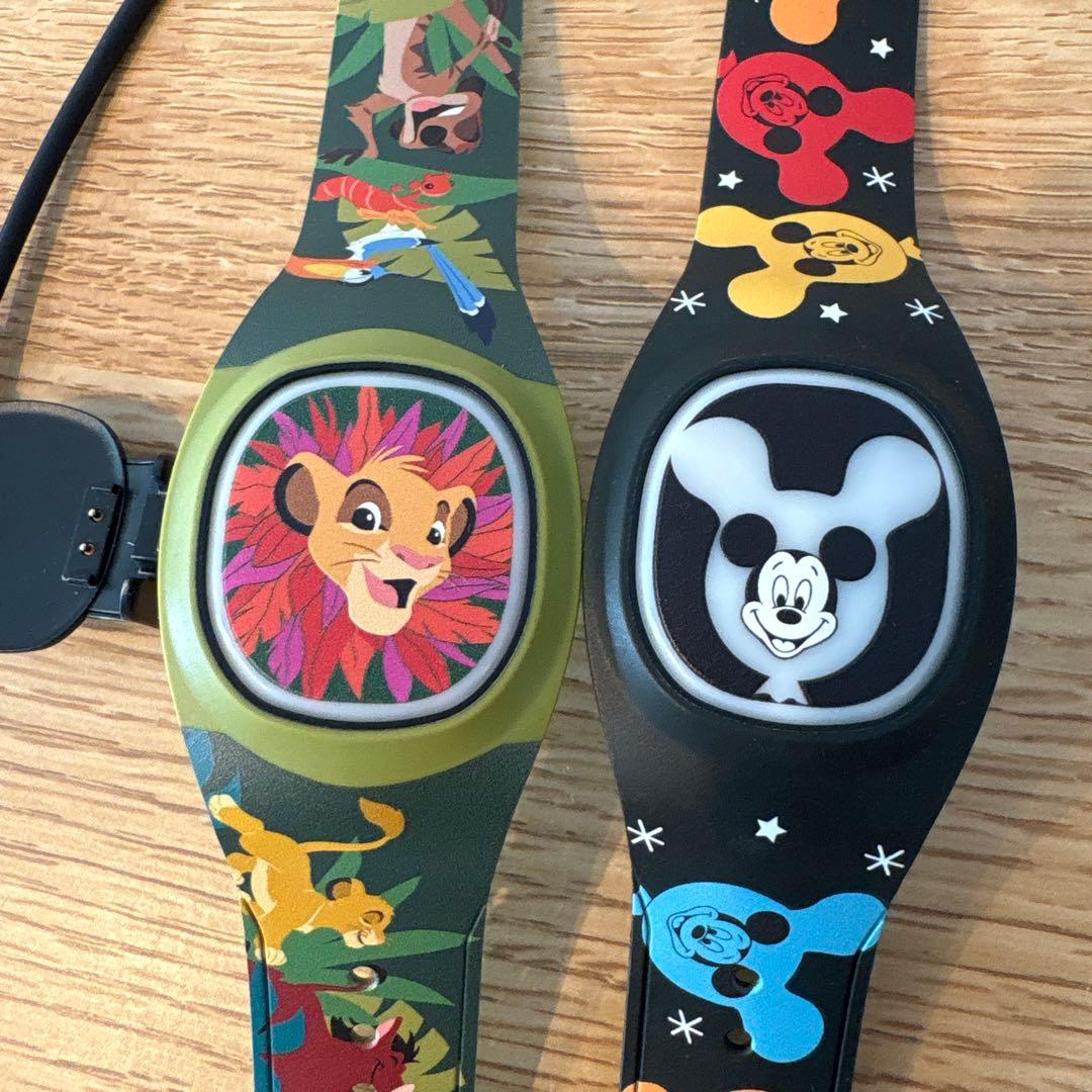 ディズニー　マジックバンドプラス　WDW ２個セット　充電ケーブル付き