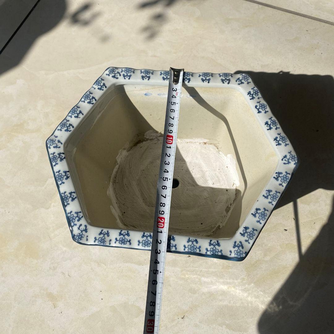 青磁の鉢 盆栽鉢 中国鉢 植木鉢 多肉植物鉢 小品盆栽鉢 山野草鉢