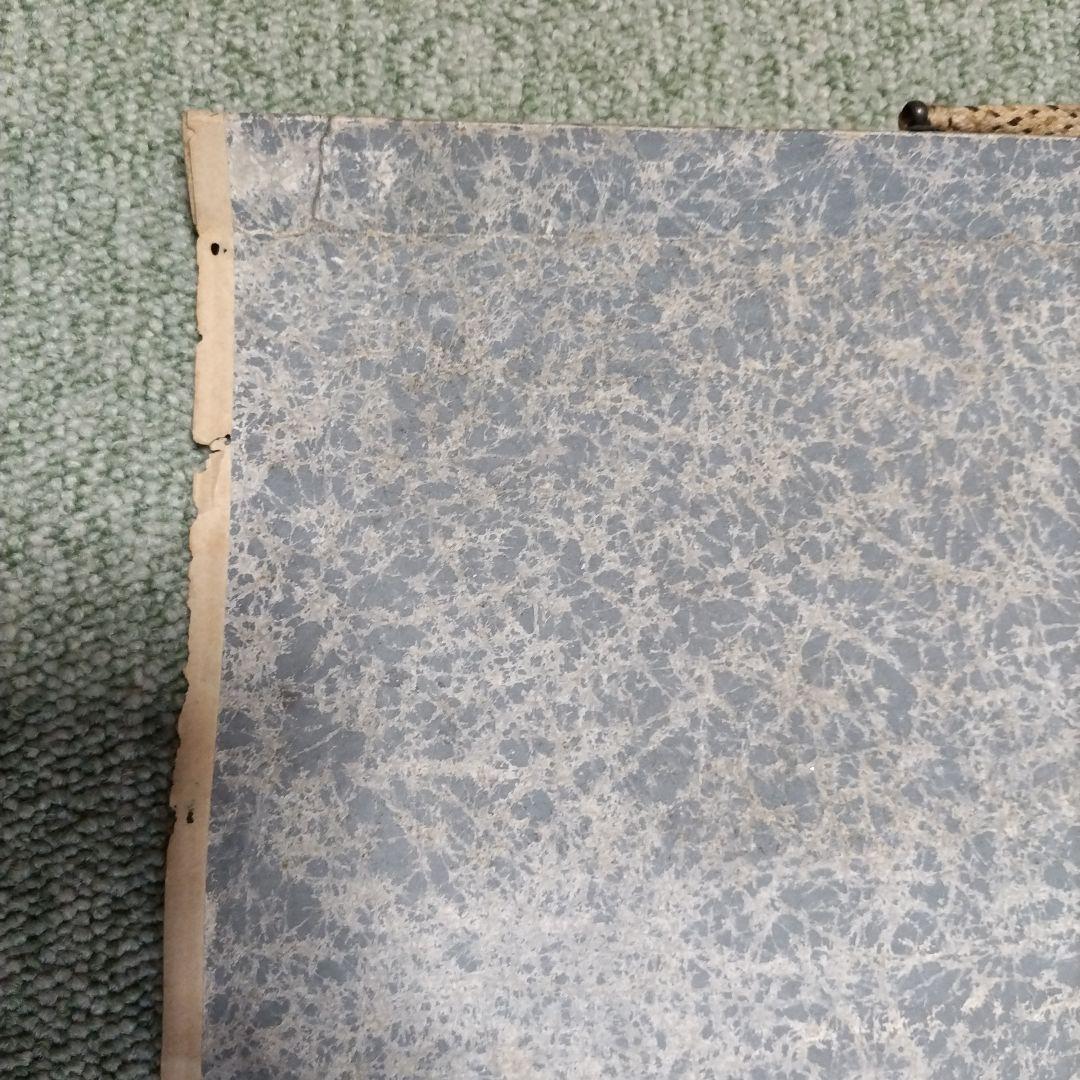 藤図 小禽図 掛軸 在銘 二顆印 166cm 時代物