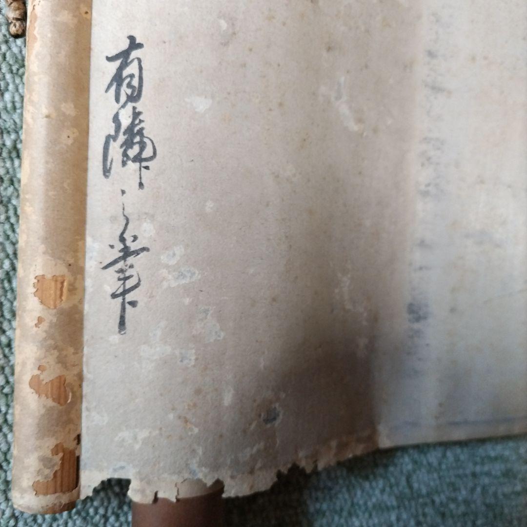 藤図 小禽図 掛軸 在銘 二顆印 166cm 時代物