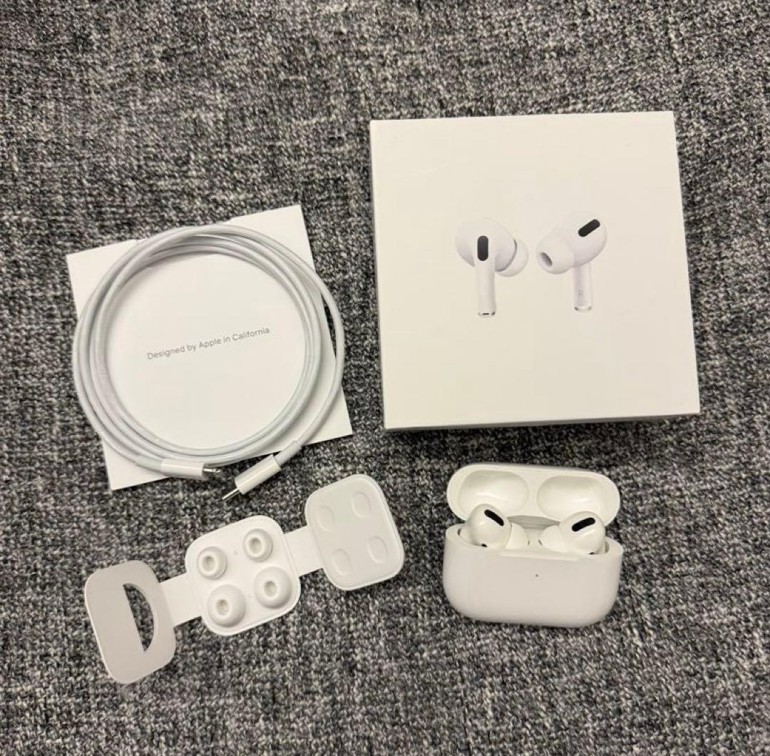 Apple AirPods Pro 1 本体