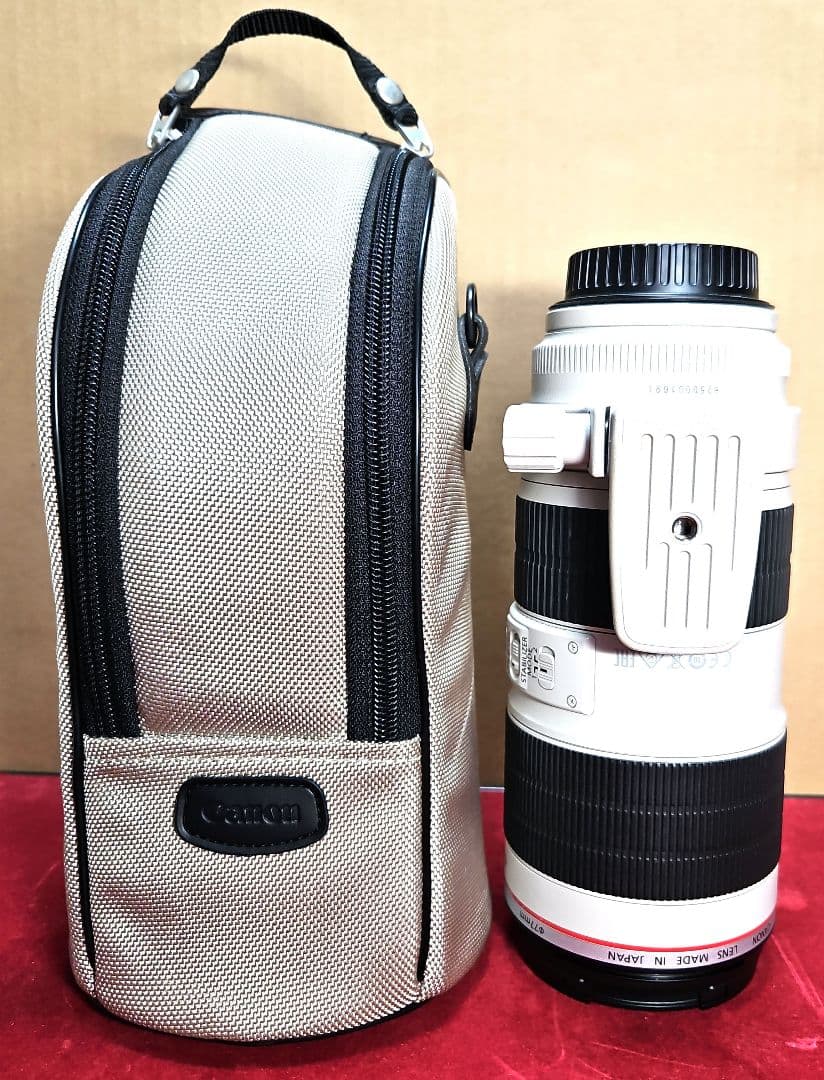 Canon ZOOM EF70-200mm F2.8 L IS Ⅱ