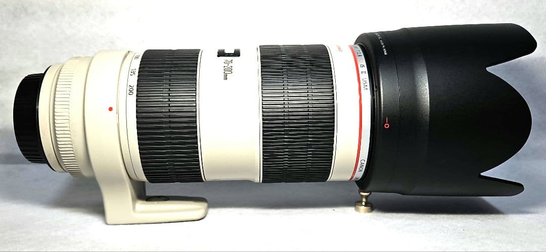 Canon ZOOM EF70-200mm F2.8 L IS Ⅱ