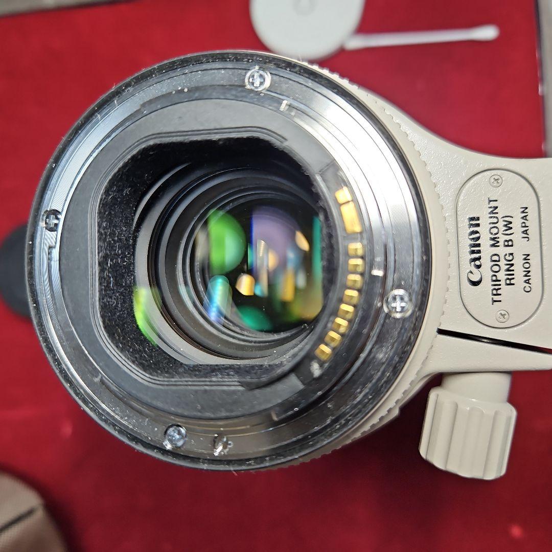 Canon ZOOM EF70-200mm F2.8 L IS Ⅱ