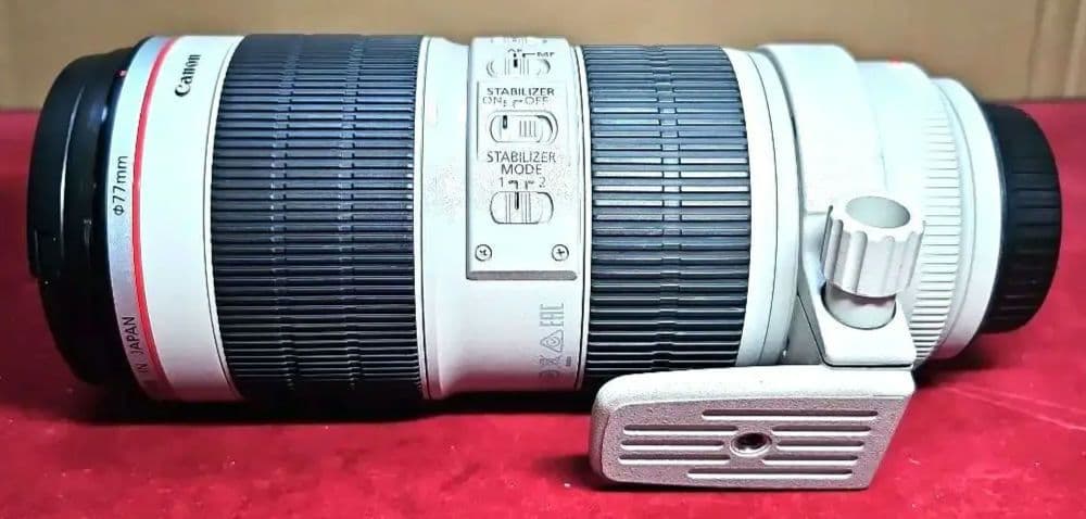 Canon ZOOM EF70-200mm F2.8 L IS Ⅱ