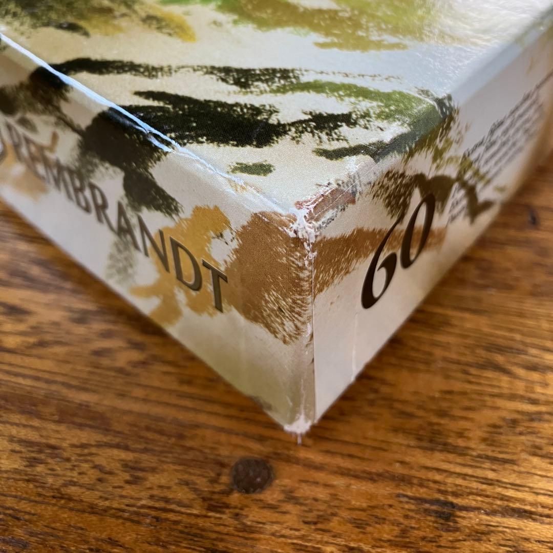 REMBRANDT 60 Soft Pastels 風景画用