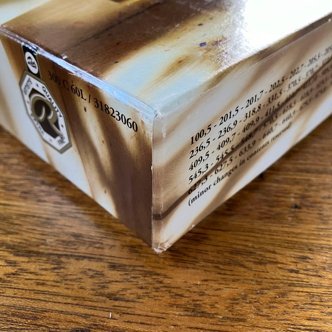 REMBRANDT 60 Soft Pastels 風景画用