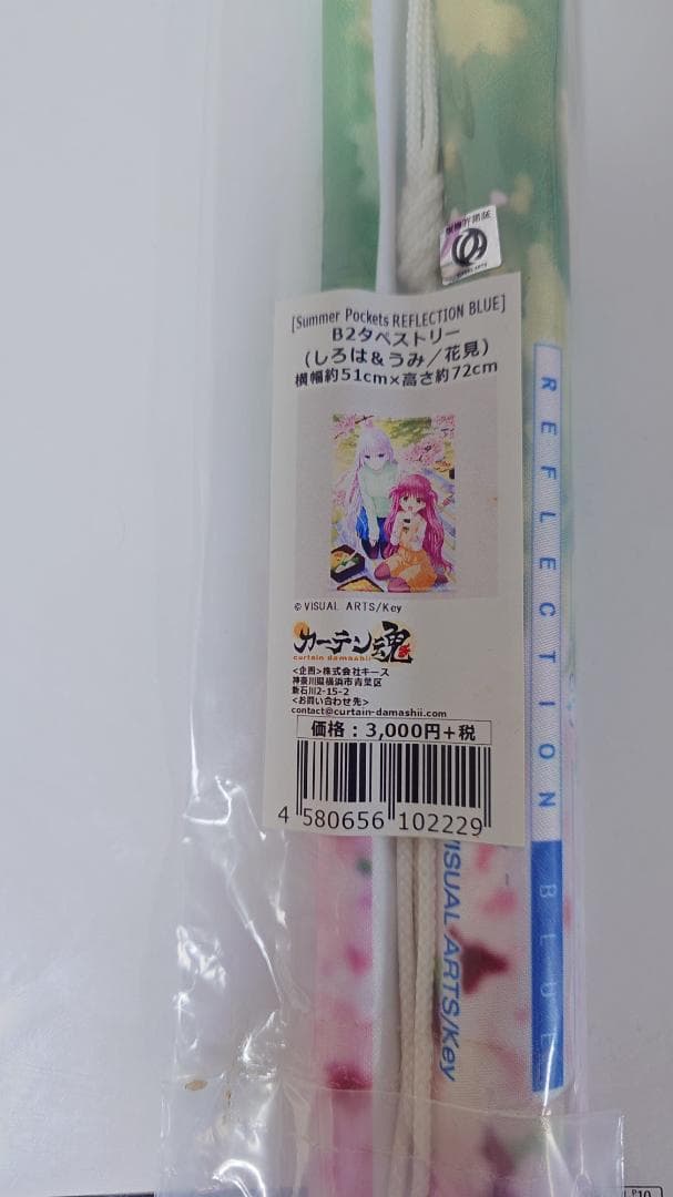 鳴瀬しろは 加藤うみ B2タペストリー 花見