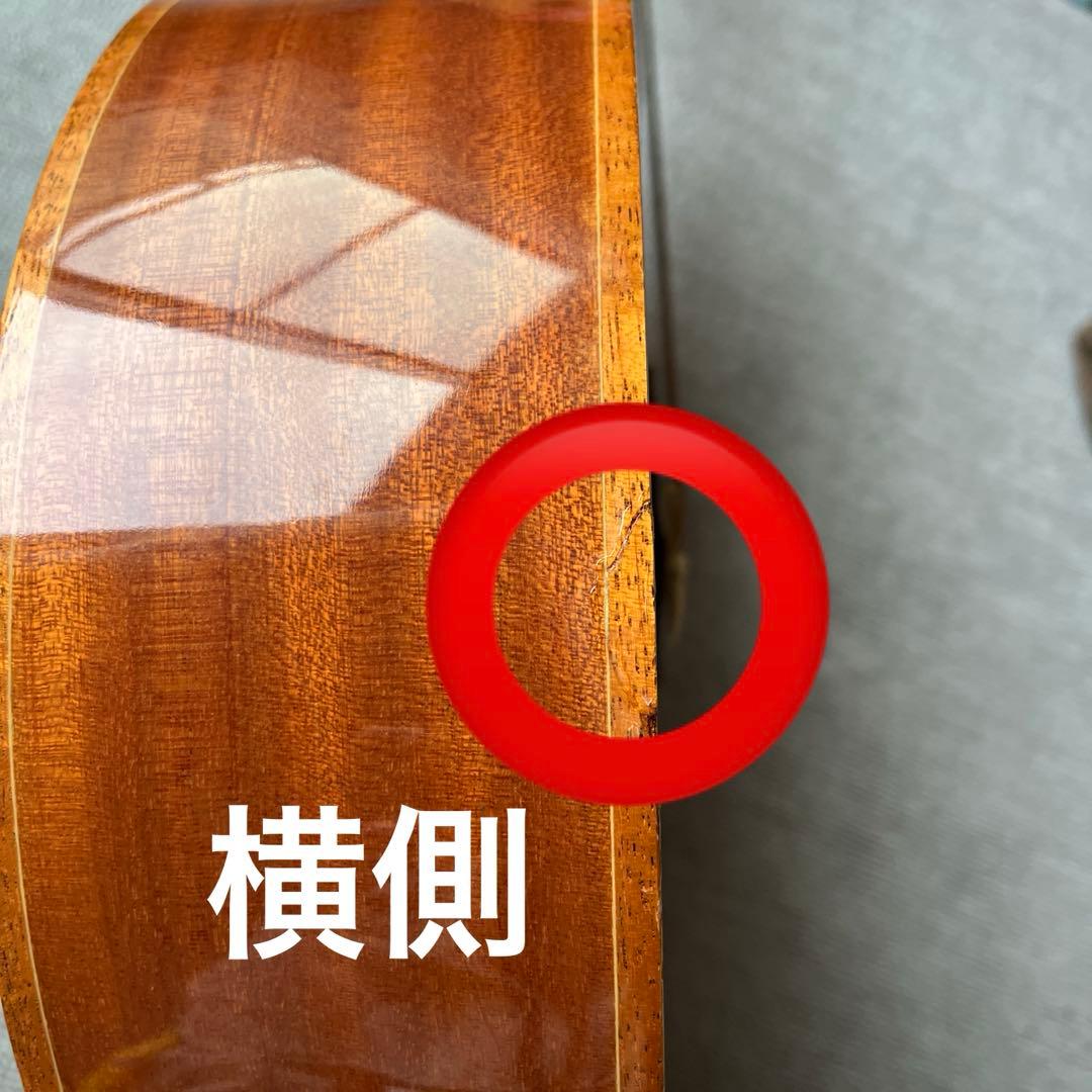 アイバニーズ　アコースティックギター　早い者勝ち