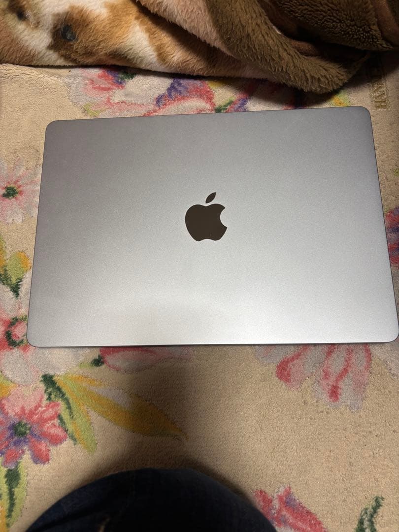 MacBook Air 2025 13インチ充放電8回 バッテリー100%