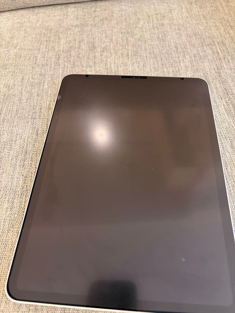 iPad Pro 第一世代11インチ 256GB シルバー　wifi