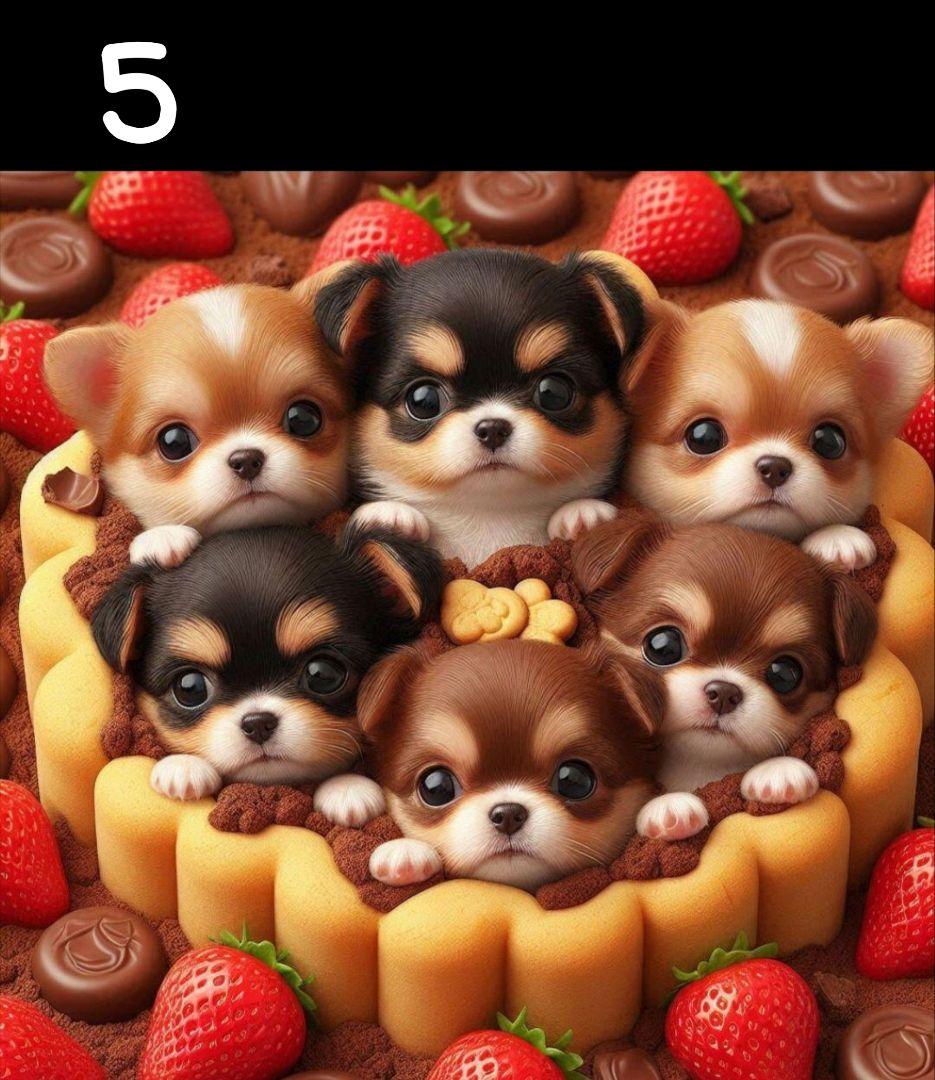 ななちゃん様　オーダーページ　2/19