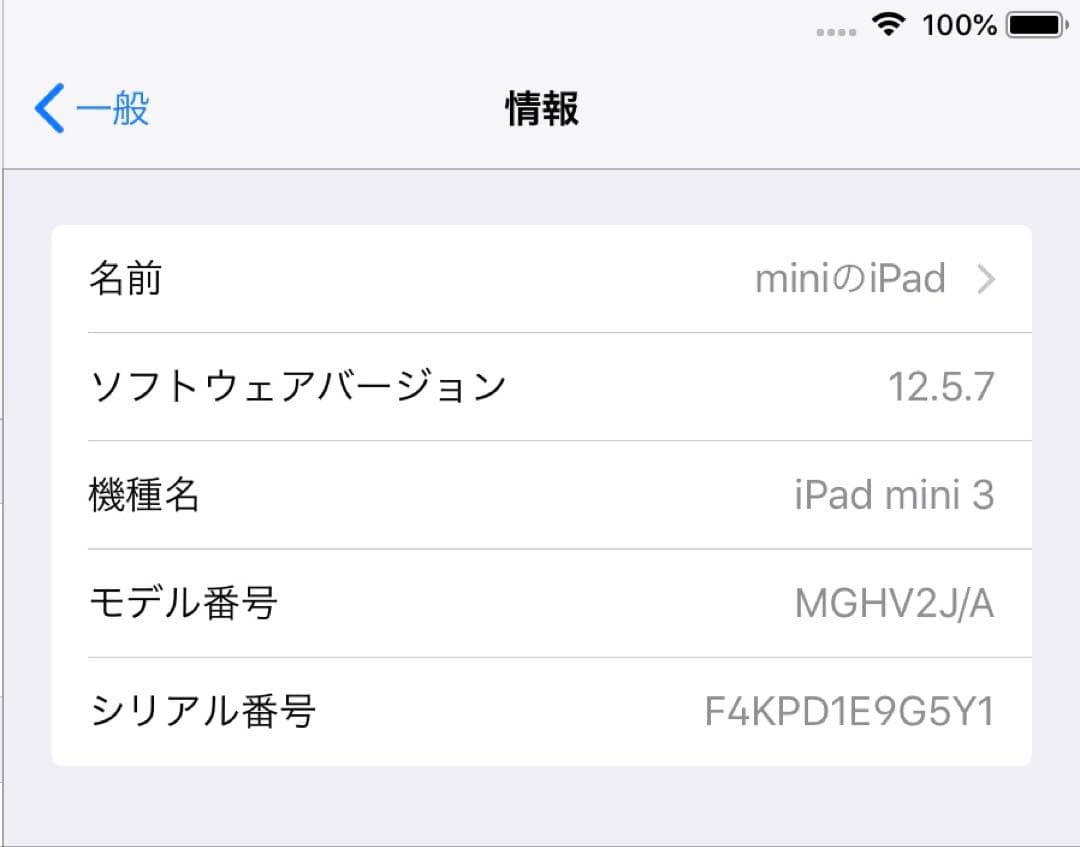 iPad mini3 16GB wifi + cellular スペースグレイ