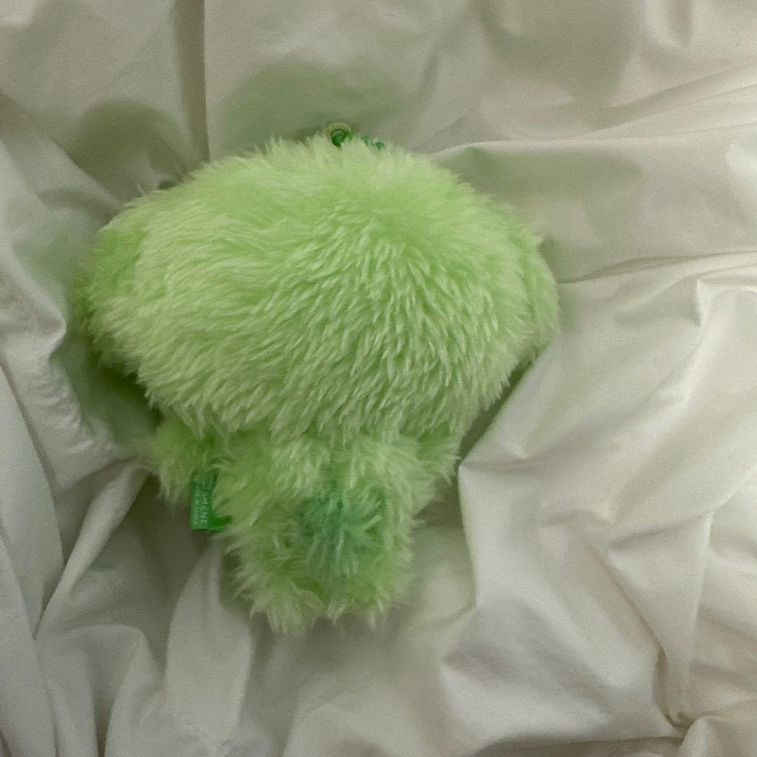 NCT WISH COLOR wishdoll ジェヒ　グリーン　緑