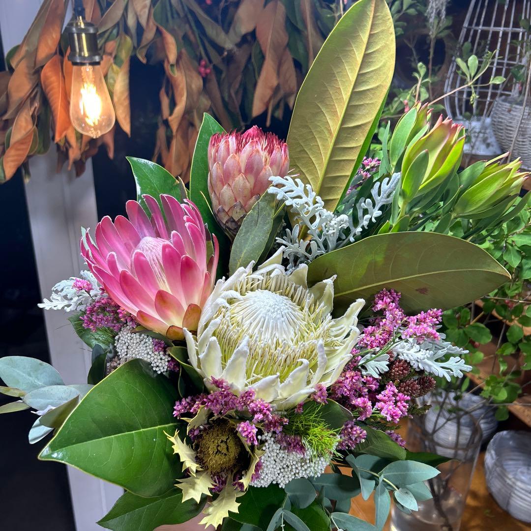 キングプロテアの吊り下げスワッグ