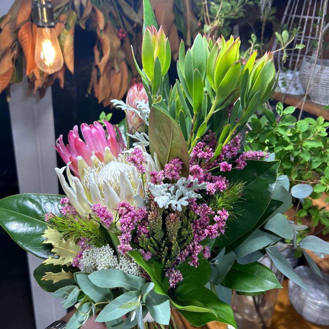 キングプロテアの吊り下げスワッグ