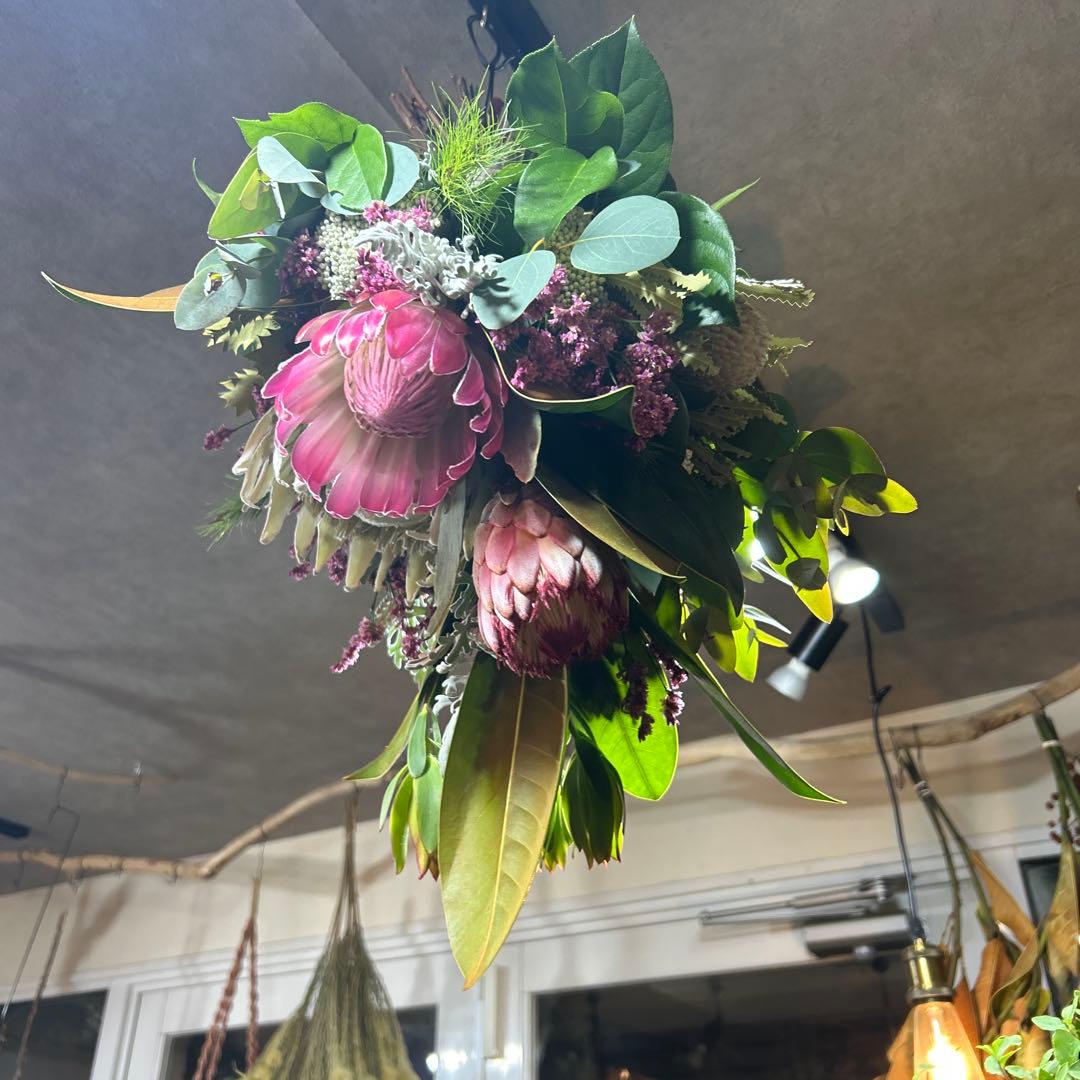 キングプロテアの吊り下げスワッグ