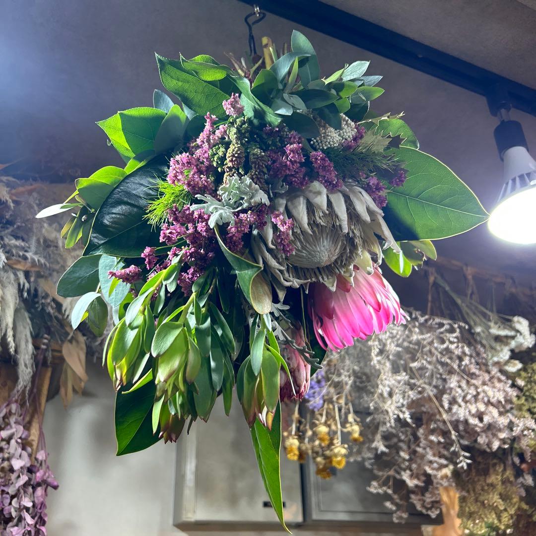 キングプロテアの吊り下げスワッグ